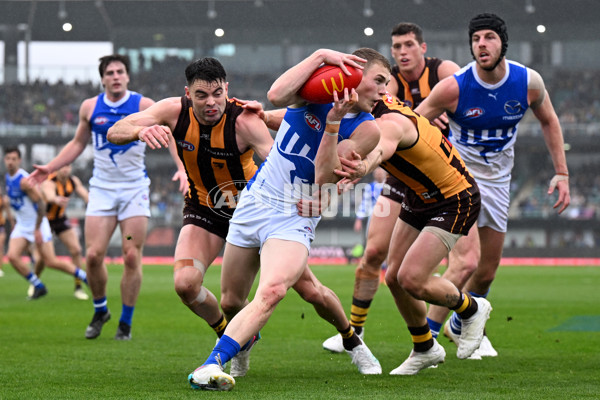 AFL 2024 Round 24 - Hawthorn v North Melbourne - A-53367792