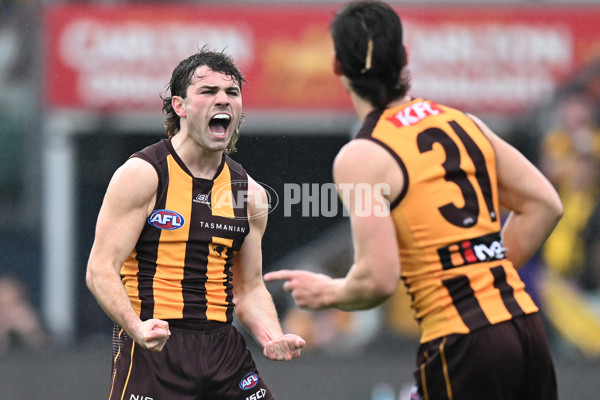 AFL 2024 Round 24 - Hawthorn v North Melbourne - A-53369915