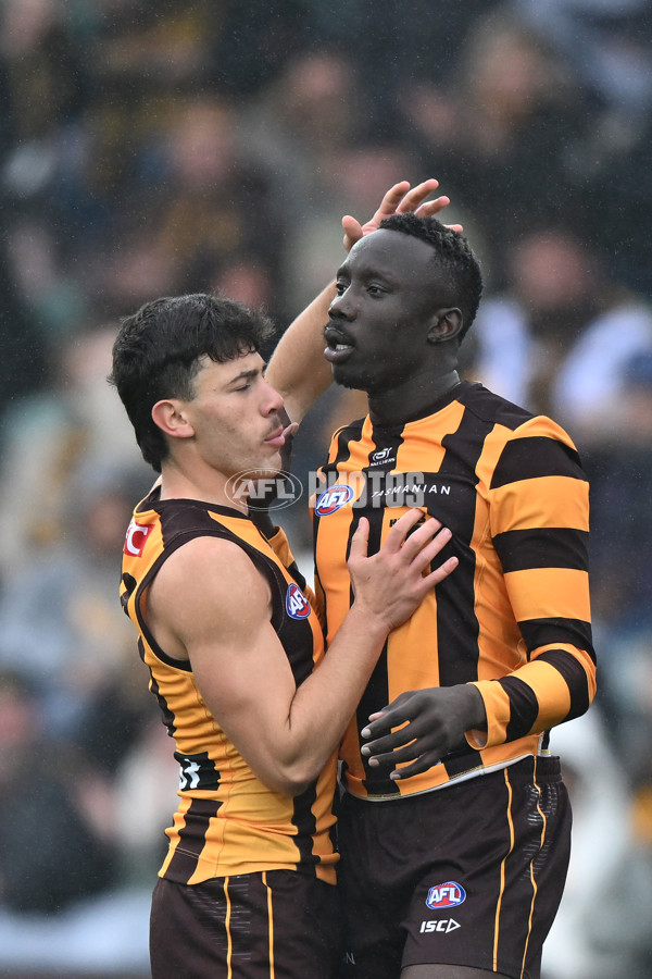 AFL 2024 Round 24 - Hawthorn v North Melbourne - A-53369917