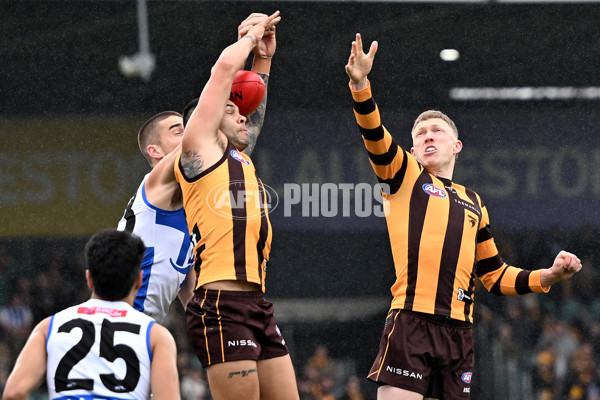 AFL 2024 Round 24 - Hawthorn v North Melbourne - A-53369919