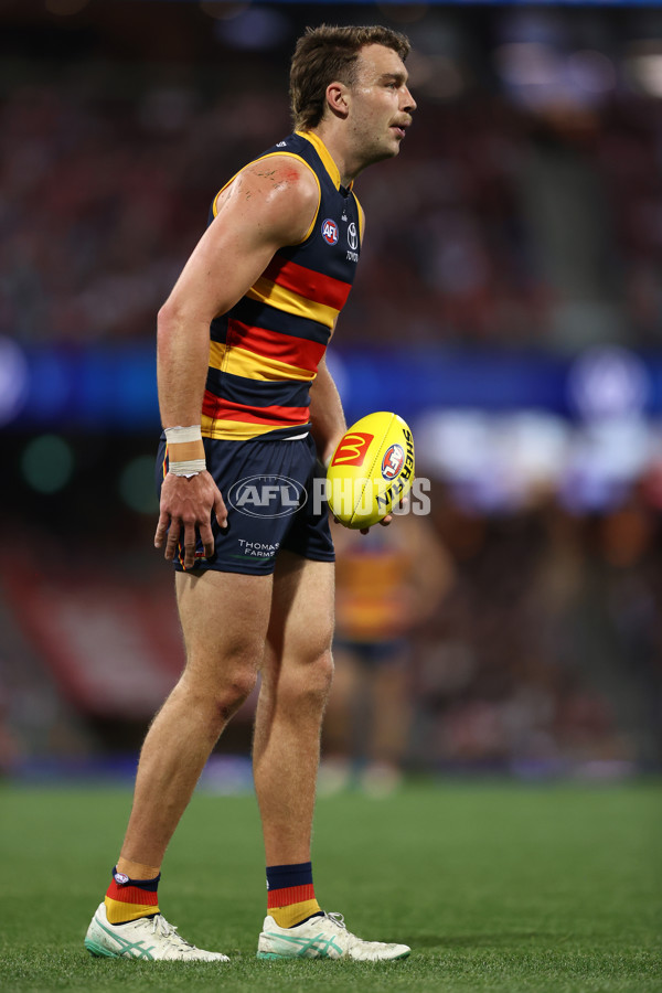 AFL 2024 Round 24 - Sydney v Adelaide - A-53369931