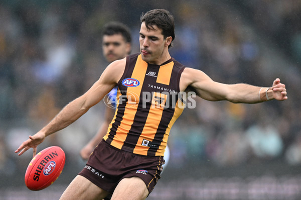 AFL 2024 Round 24 - Hawthorn v North Melbourne - A-53370816