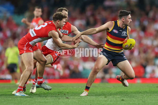 AFL 2024 Round 24 - Sydney v Adelaide - A-53373517