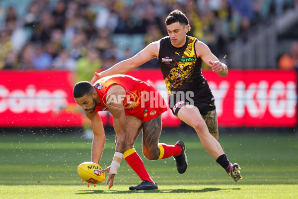 AFL 2024 Round 24 - Richmond v Gold Coast - A-53376660