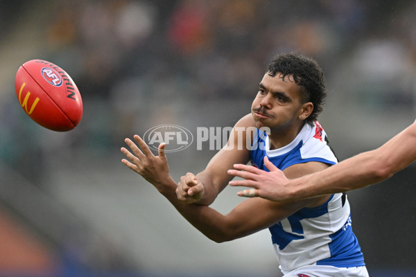 AFL 2024 Round 24 - Hawthorn v North Melbourne - A-53379049