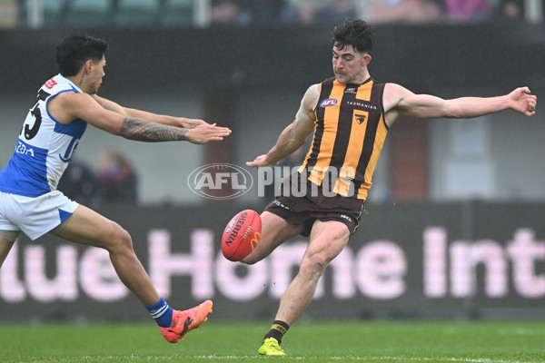 AFL 2024 Round 24 - Hawthorn v North Melbourne - A-53379053