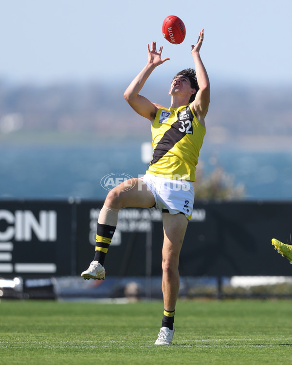 VFL 2024 Wildcard Round - Williamstown v Richmond - A-53379094