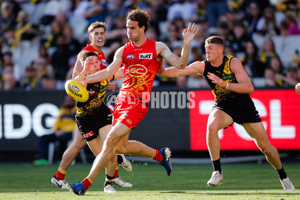 AFL 2024 Round 24 - Richmond v Gold Coast - A-53379309