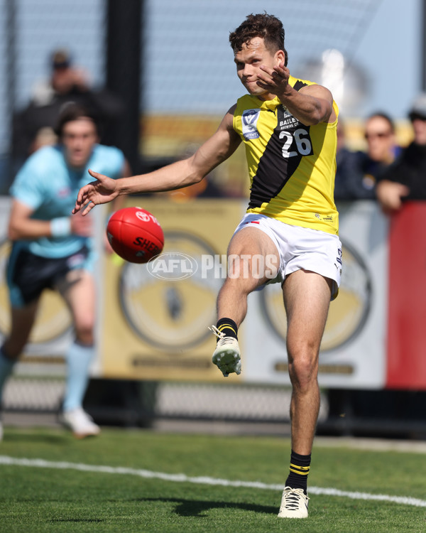 VFL 2024 Wildcard Round - Williamstown v Richmond - A-53379406