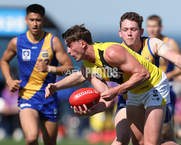 VFL 2024 Wildcard Round - Williamstown v Richmond - A-53381583