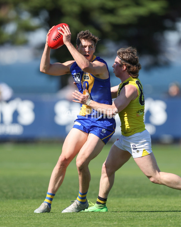 VFL 2024 Wildcard Round - Williamstown v Richmond - A-53381585