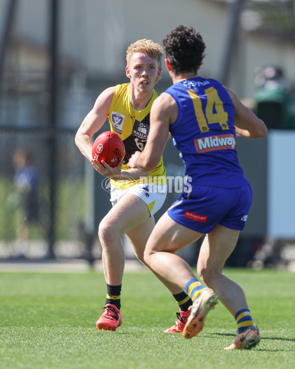 VFL 2024 Wildcard Round - Williamstown v Richmond - A-53381803