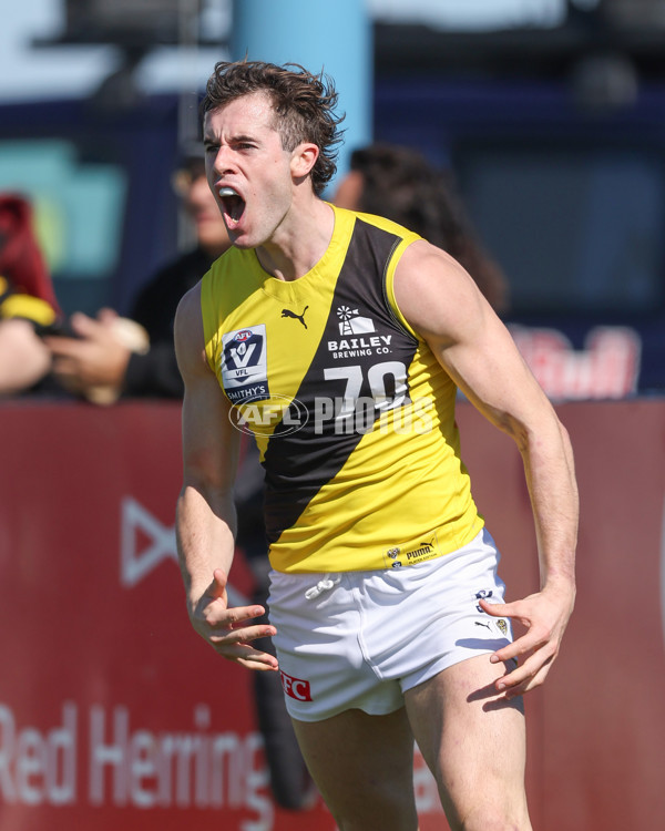 VFL 2024 Wildcard Round - Williamstown v Richmond - A-53381804