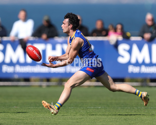 VFL 2024 Wildcard Round - Williamstown v Richmond - A-53381805