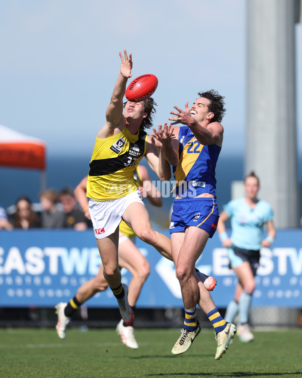 VFL 2024 Wildcard Round - Williamstown v Richmond - A-53381807