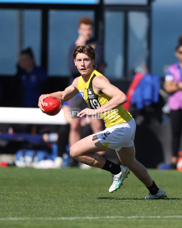 VFL 2024 Wildcard Round - Williamstown v Richmond - A-53381808