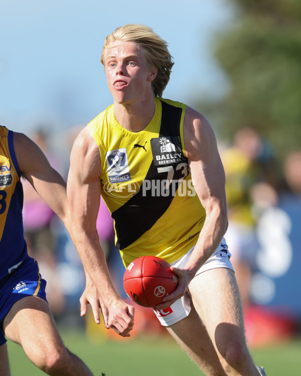 VFL 2024 Wildcard Round - Williamstown v Richmond - A-53383941