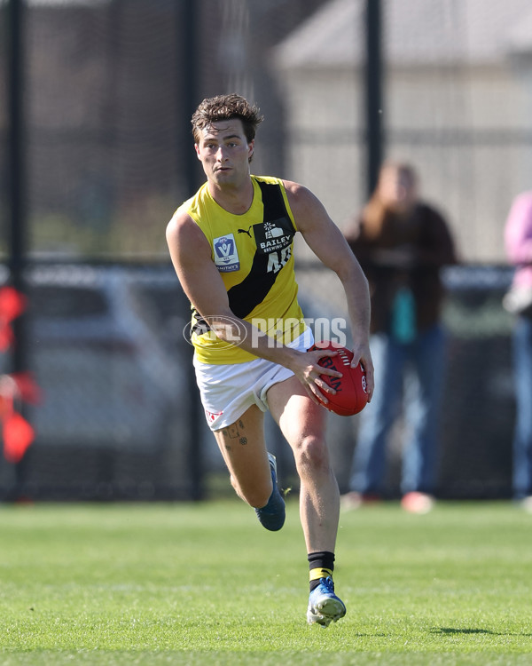 VFL 2024 Wildcard Round - Williamstown v Richmond - A-53383943