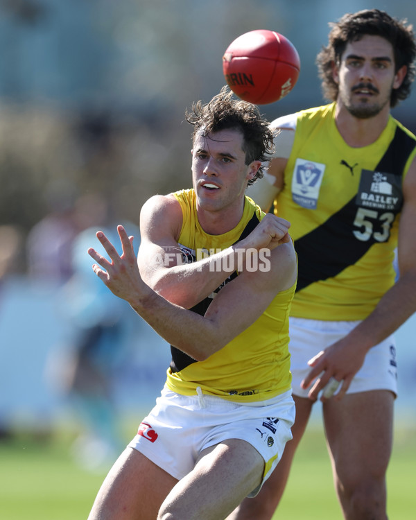 VFL 2024 Wildcard Round - Williamstown v Richmond - A-53383944