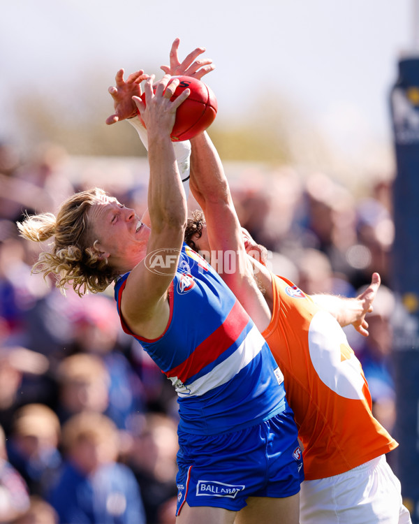 AFL 2024 Round 24 - Western Bulldogs v GWS - A-53386593