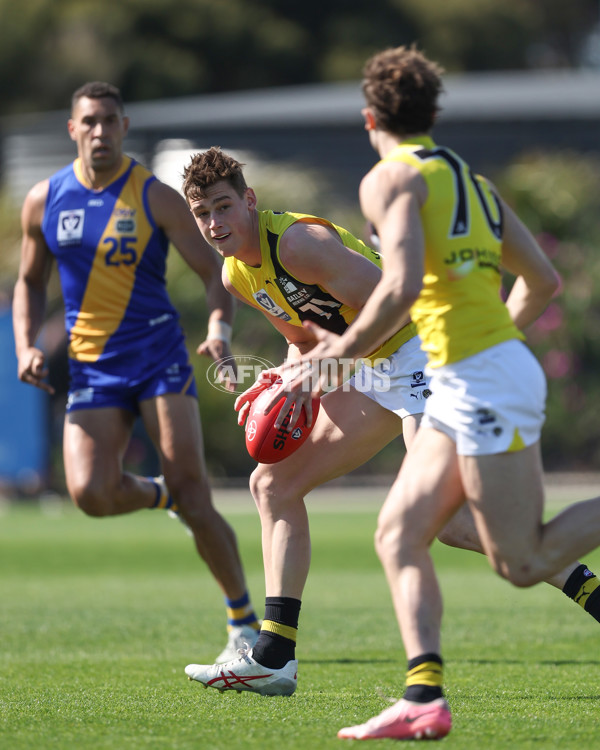 VFL 2024 Wildcard Round - Williamstown v Richmond - A-53386620