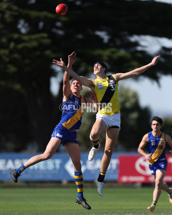 VFL 2024 Wildcard Round - Williamstown v Richmond - A-53386621