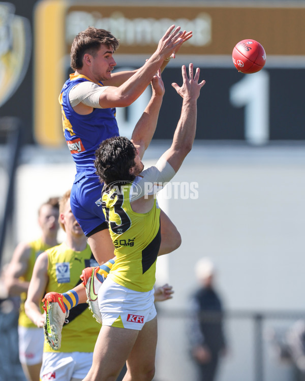 VFL 2024 Wildcard Round - Williamstown v Richmond - A-53392432