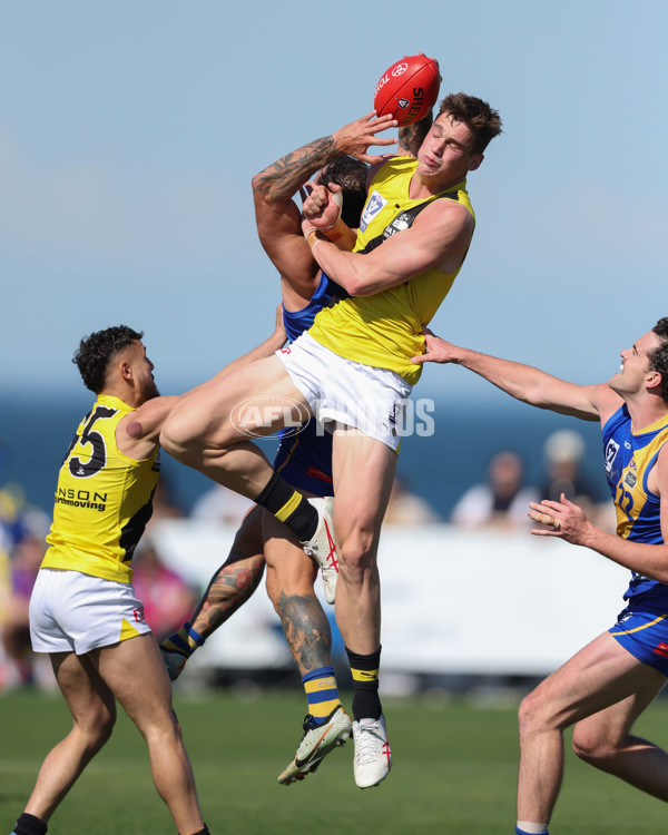 VFL 2024 Wildcard Round - Williamstown v Richmond - A-53392435