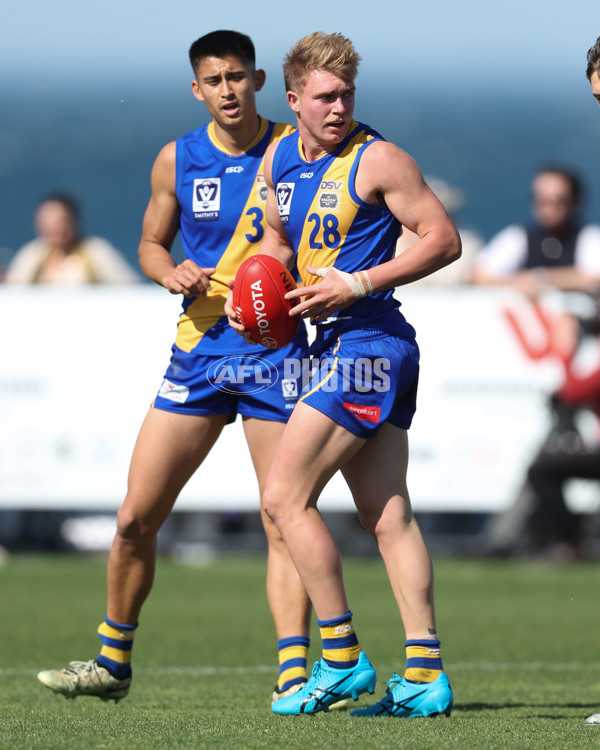 VFL 2024 Wildcard Round - Williamstown v Richmond - A-53392531