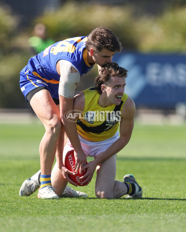 VFL 2024 Wildcard Round - Williamstown v Richmond - A-53392538