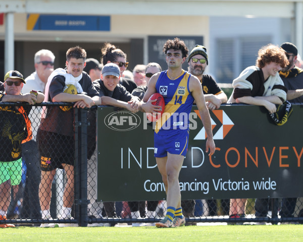 VFL 2024 Wildcard Round - Williamstown v Richmond - A-53394731