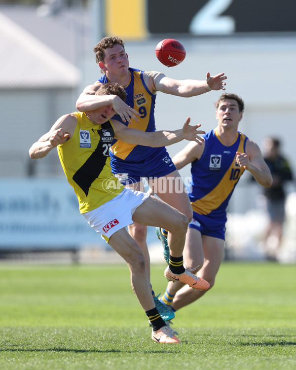 VFL 2024 Wildcard Round - Williamstown v Richmond - A-53394733