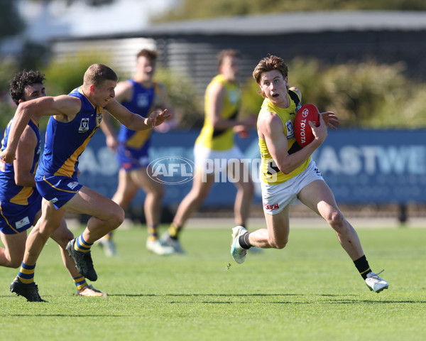 VFL 2024 Wildcard Round - Williamstown v Richmond - A-53395036