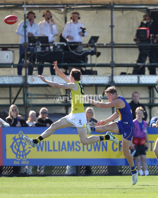 VFL 2024 Wildcard Round - Williamstown v Richmond - A-53395038