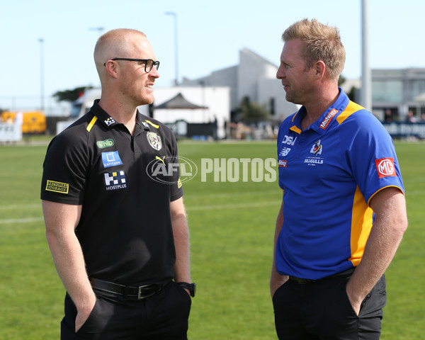 VFL 2024 Wildcard Round - Williamstown v Richmond - A-53397343