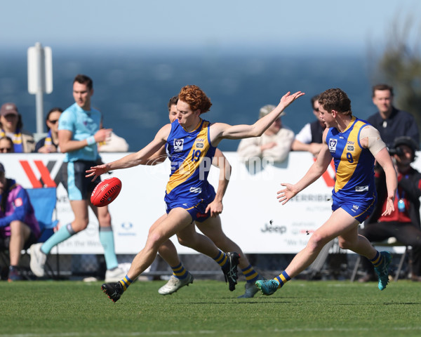 VFL 2024 Wildcard Round - Williamstown v Richmond - A-53397344