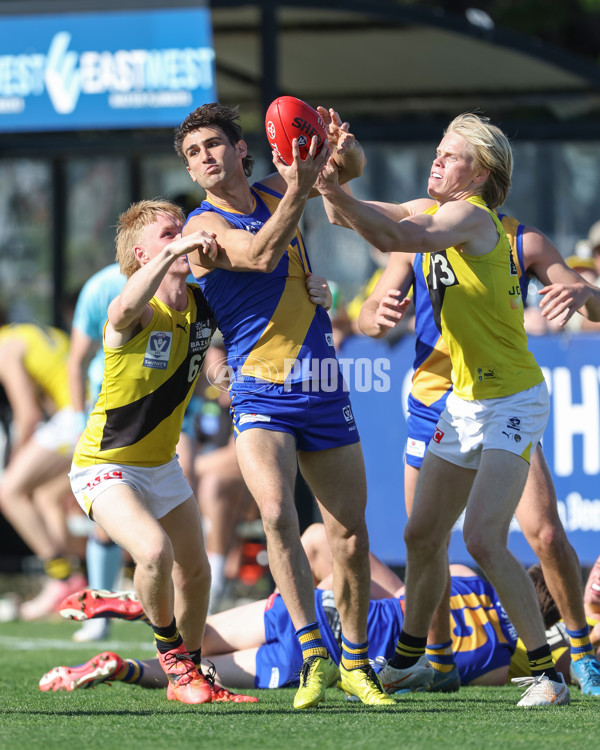 VFL 2024 Wildcard Round - Williamstown v Richmond - A-53397645