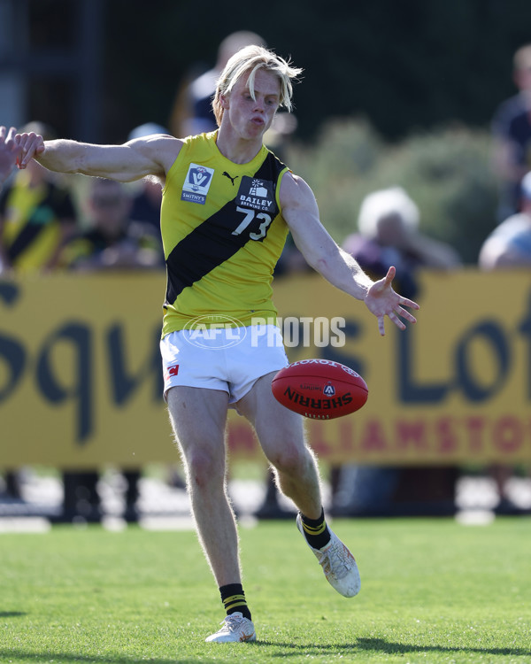 VFL 2024 Wildcard Round - Williamstown v Richmond - A-53397646