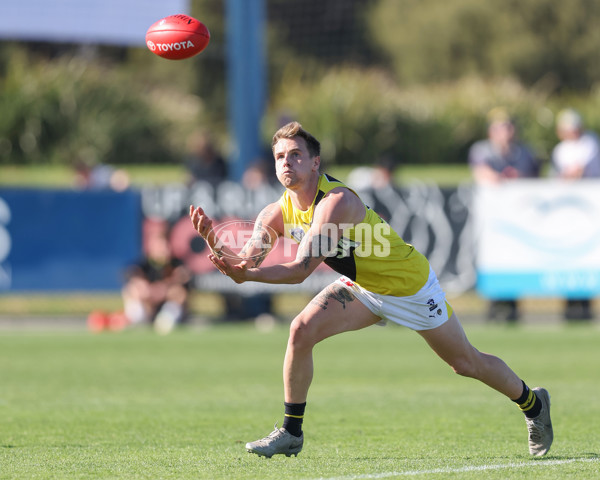 VFL 2024 Wildcard Round - Williamstown v Richmond - A-53397649