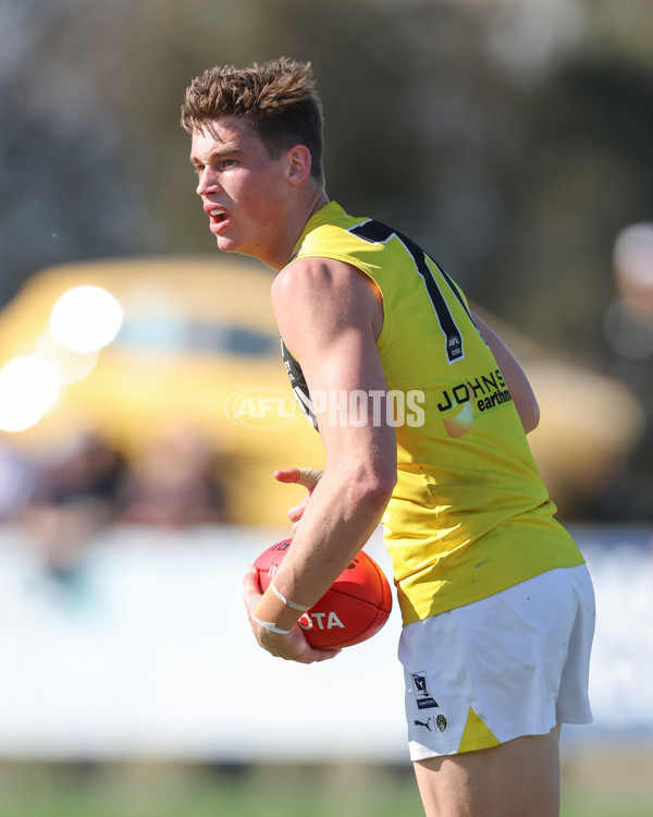 VFL 2024 Wildcard Round - Williamstown v Richmond - A-53397653