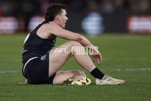 AFL 2024 Round 24 - Carlton v St Kilda - A-53399723