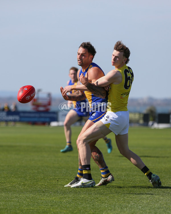 VFL 2024 Wildcard Round - Williamstown v Richmond - A-53399807