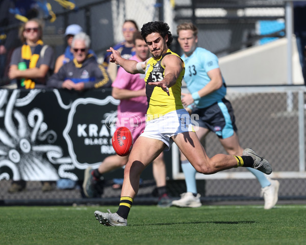 VFL 2024 Wildcard Round - Williamstown v Richmond - A-53399810