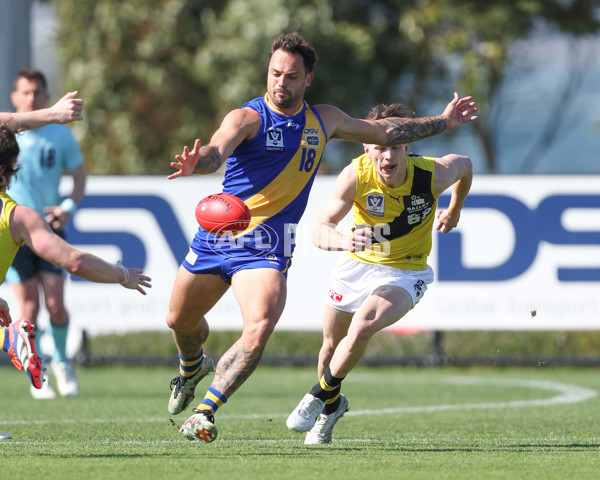 VFL 2024 Wildcard Round - Williamstown v Richmond - A-53402342