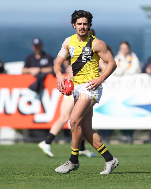 VFL 2024 Wildcard Round - Williamstown v Richmond - A-53402343