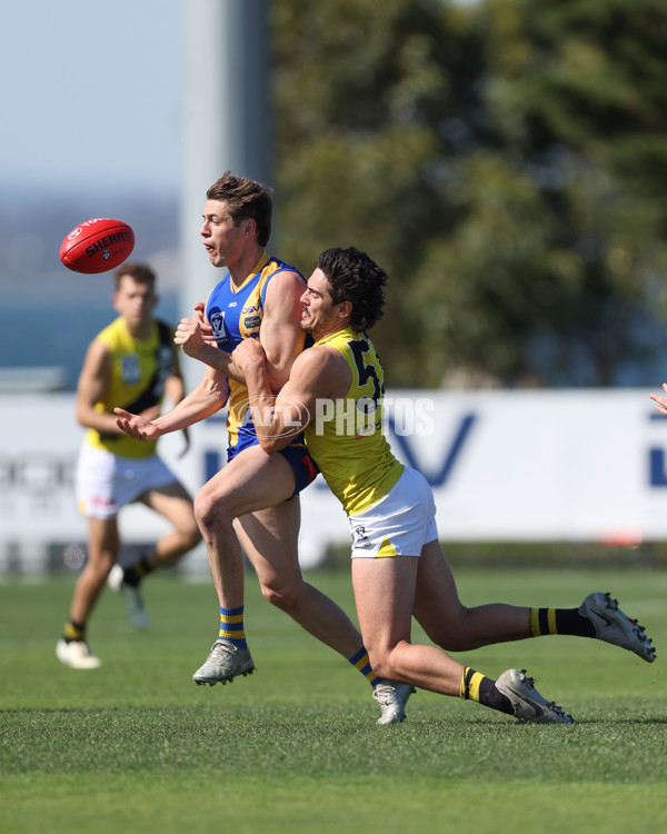 VFL 2024 Wildcard Round - Williamstown v Richmond - A-53402427