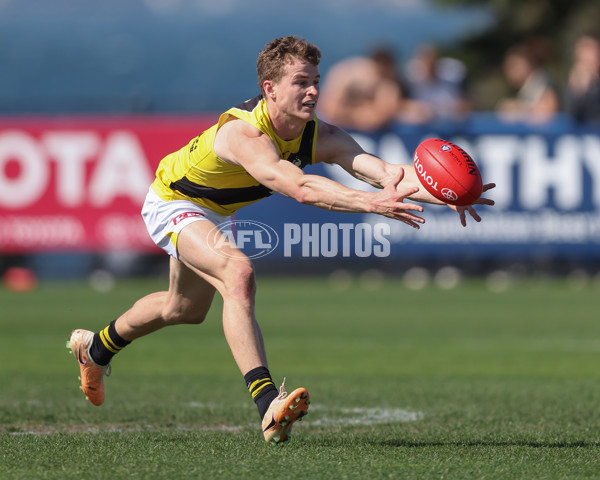 VFL 2024 Wildcard Round - Williamstown v Richmond - A-53402430