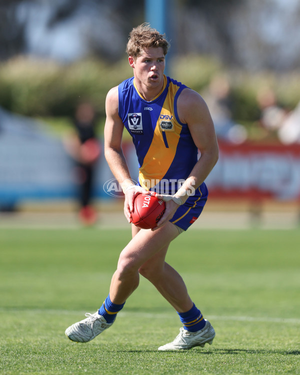 VFL 2024 Wildcard Round - Williamstown v Richmond - A-53402431