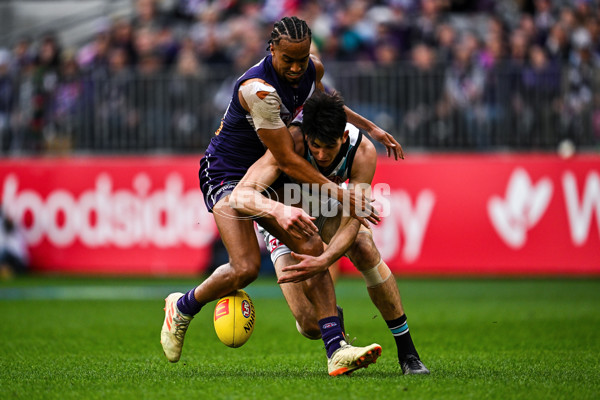 AFL 2024 Round 24 - Fremantle v Port Adelaide - A-53404376