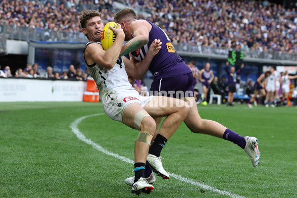 AFL 2024 Round 24 - Fremantle v Port Adelaide - A-53404414